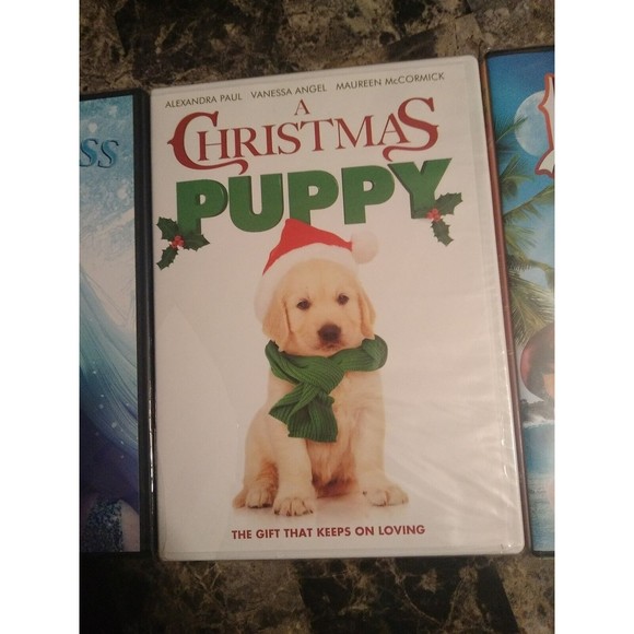 lot of 3 Kids DVDs  ice princess lily A Xmas Puppy , The legend of hallowaiiaw - Picture 3 of 4